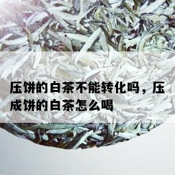 压饼的白茶不能转化吗，压成饼的白茶怎么喝