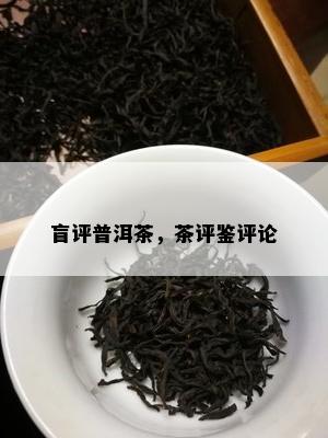 盲评普洱茶，茶评鉴评论