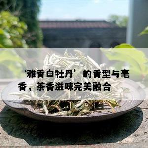 ‘雅香白牡丹’的香型与毫香，茶香滋味完美融合