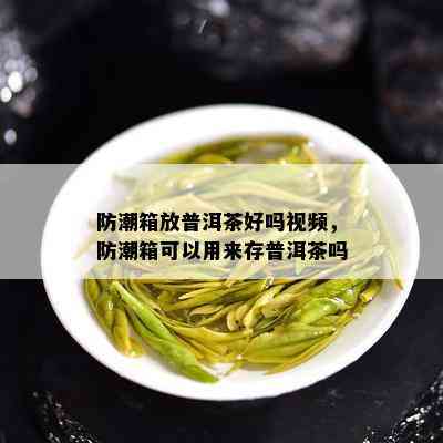 防潮箱放普洱茶好吗视频，防潮箱可以用来存普洱茶吗