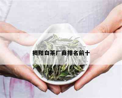 揭阳白茶厂商排名前十