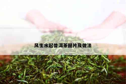 风生水起普洱茶图片及做法