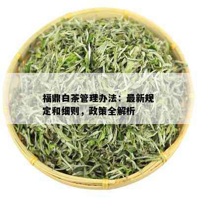 福鼎白茶管理办法：最新规定和细则，政策全解析