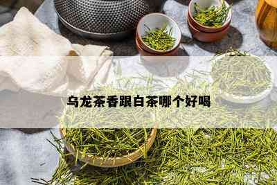 乌龙茶香跟白茶哪个好喝