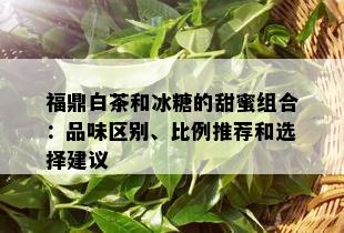 福鼎白茶和冰糖的甜蜜组合：品味区别、比例推荐和选择建议