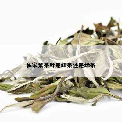 私家菜茶叶是红茶还是绿茶