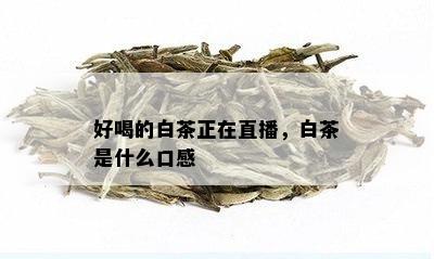 好喝的白茶正在直播，白茶是什么口感