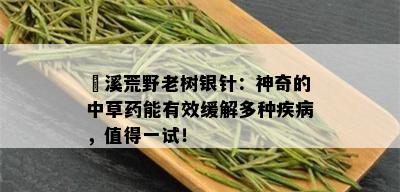 磻溪荒野老树银针：神奇的中草能有效缓解多种疾病，值得一试！