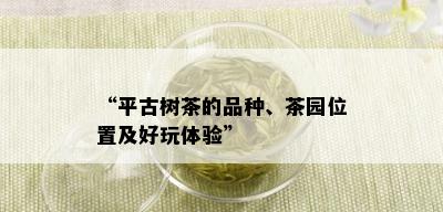 “平古树茶的品种、茶园位置及好玩体验”