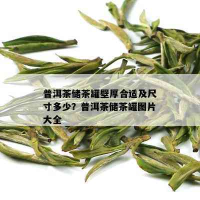 普洱茶储茶罐壁厚合适及尺寸多少？普洱茶储茶罐图片大全