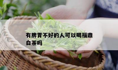 有脾胃不好的人可以喝福鼎白茶吗