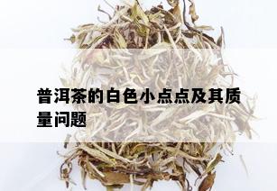 普洱茶的白色小点点及其质量问题