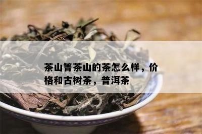 茶山箐茶山的茶怎么样，价格和古树茶，普洱茶