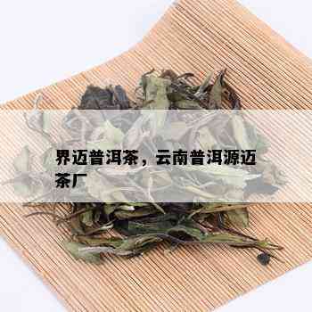 界迈普洱茶，云南普洱源迈茶厂