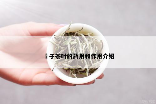 杮子茶叶的用和作用介绍