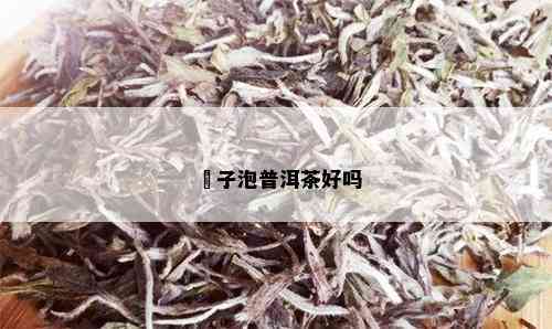 栒子泡普洱茶好吗