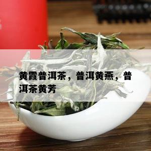 黄霞普洱茶，普洱黄燕，普洱茶黄芳