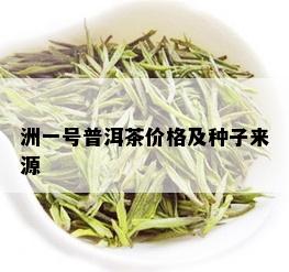 洲一号普洱茶价格及种子来源