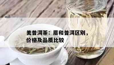 美普洱茶：眉和普洱区别，价格及品质比较