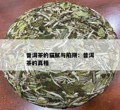 普洱茶的猫腻与陷阱：普洱茶的真相