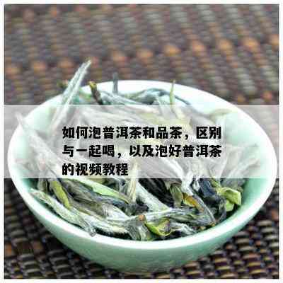 如何泡普洱茶和品茶，区别与一起喝，以及泡好普洱茶的视频教程