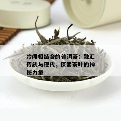 冷闻相结合的普洱茶：融汇传统与现代，探索茶叶的神秘力量