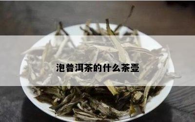 泡普洱茶的什么茶壶