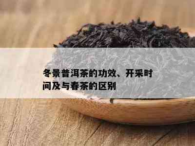 冬景普洱茶的功效、开采时间及与春茶的区别