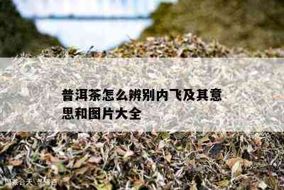 普洱茶怎么辨别内飞及其意思和图片大全