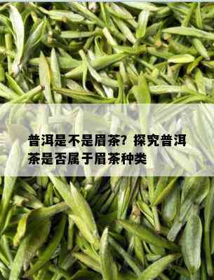 普洱是不是眉茶？探究普洱茶是否属于眉茶种类