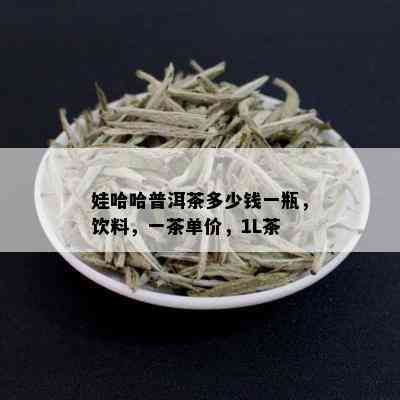 娃哈哈普洱茶多少钱一瓶，饮料，一茶单价，1L茶