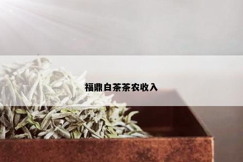 福鼎白茶茶农收入