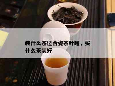 装什么茶适合瓷茶叶罐，买什么茶装好