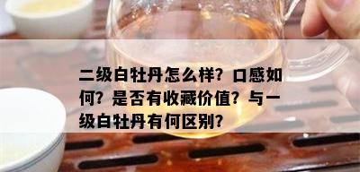 二级白牡丹怎么样？口感如何？是否有收藏价值？与一级白牡丹有何区别？