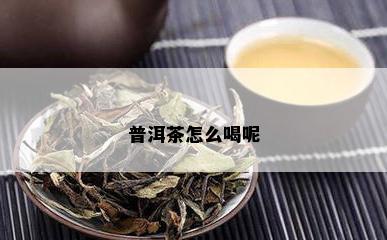 普洱茶怎么喝呢