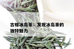 古榕冰岛茶：发现冰岛茶的独特魅力