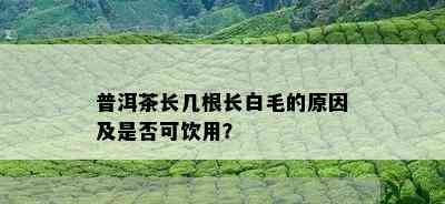 普洱茶长几根长白毛的原因及是否可饮用？