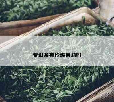 普洱茶有玲珑茉莉吗