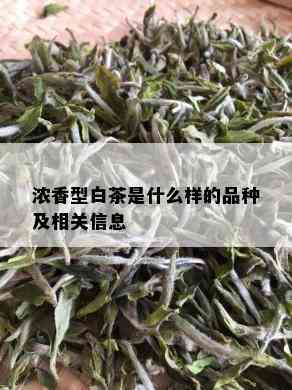 浓香型白茶是什么样的品种及相关信息