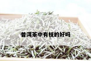 普洱茶中有枝的好吗