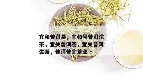 宜和普洱茶，宜和号普洱沱茶，宜关普洱茶，宜关普洱生茶，普洱普宜茶业 -