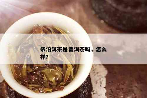 帝泊洱茶是普洱茶吗，怎么样？