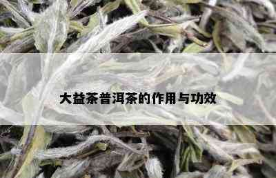 大益茶普洱茶的作用与功效