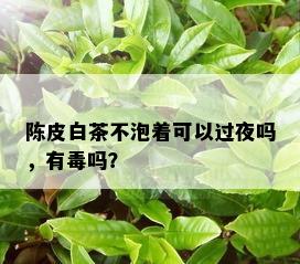 陈皮白茶不泡着可以过夜吗，有吗？