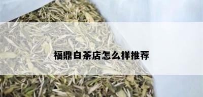 福鼎白茶店怎么样推荐