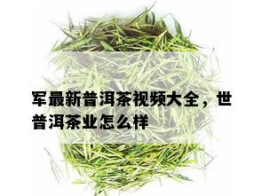 军最新普洱茶视频大全，世普洱茶业怎么样