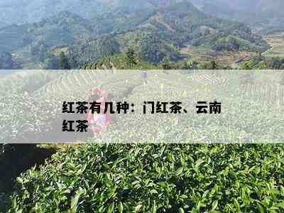 红茶有几种：门红茶、云南红茶