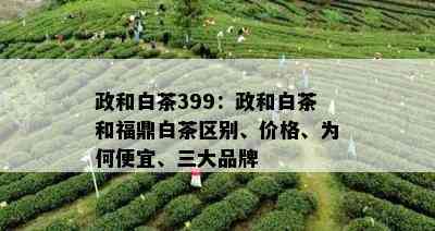 政和白茶399：政和白茶和福鼎白茶区别、价格、为何便宜、三大品牌