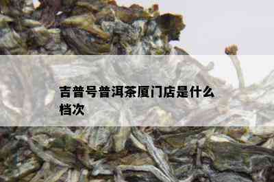 吉普号普洱茶厦门店是什么档次