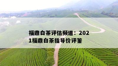 福鼎白茶评估频道：2021福鼎白茶指导价评鉴